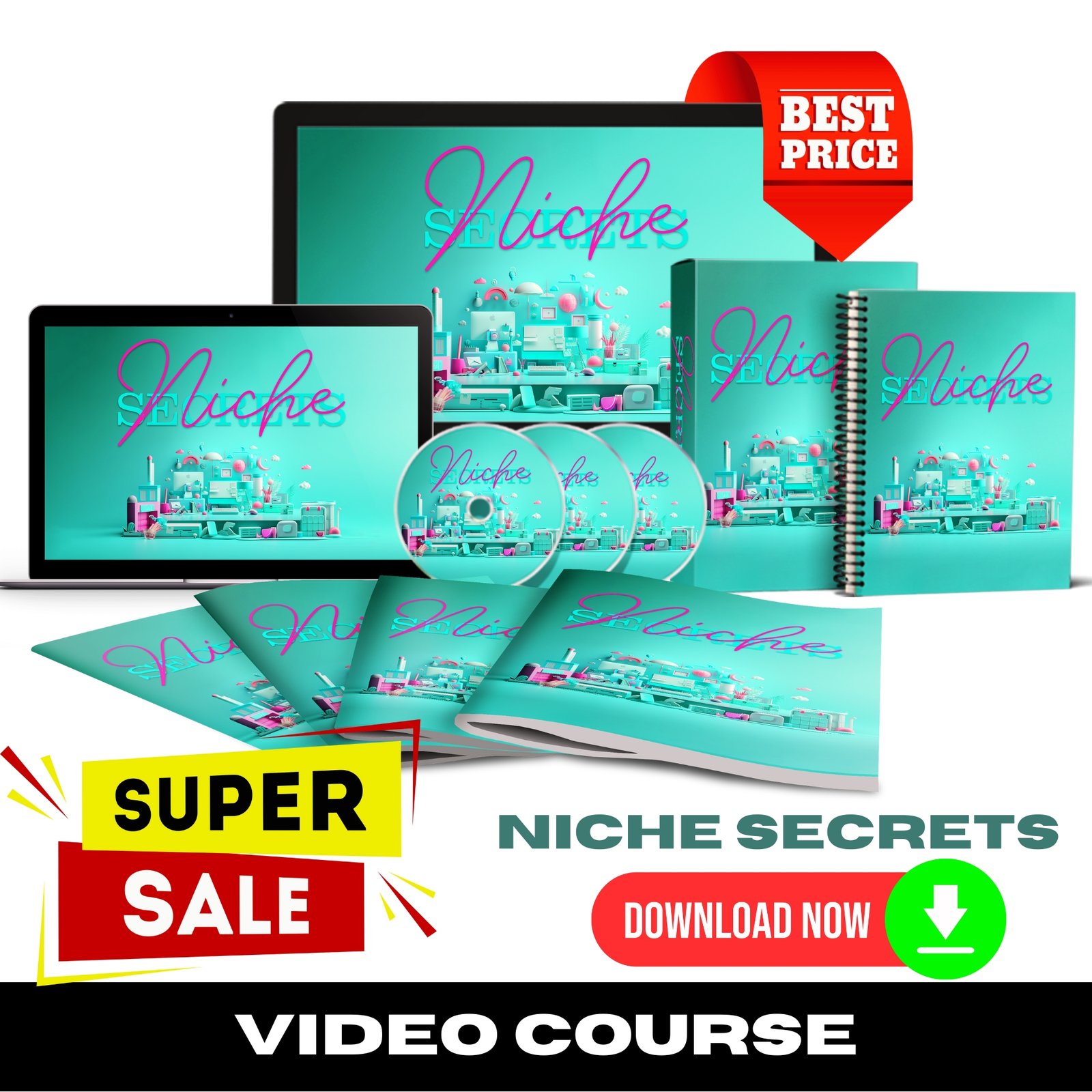Niche Secrets Upgrade Package (Video Course)